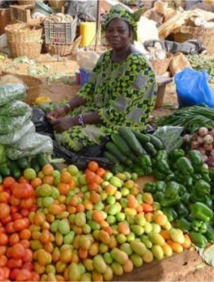 Projet de Création d’un Marché Moderne à Roumdé-Adjia