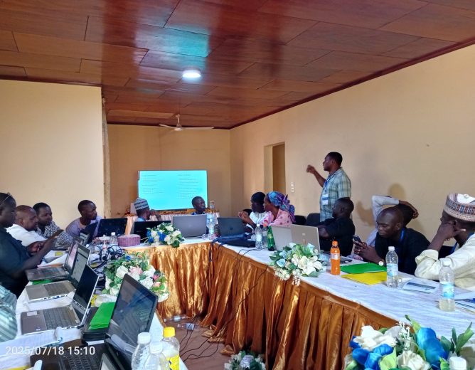 RENFORCEMENT DES CAPACITES DES POINTS FOCAUX EN DIGITALISATION